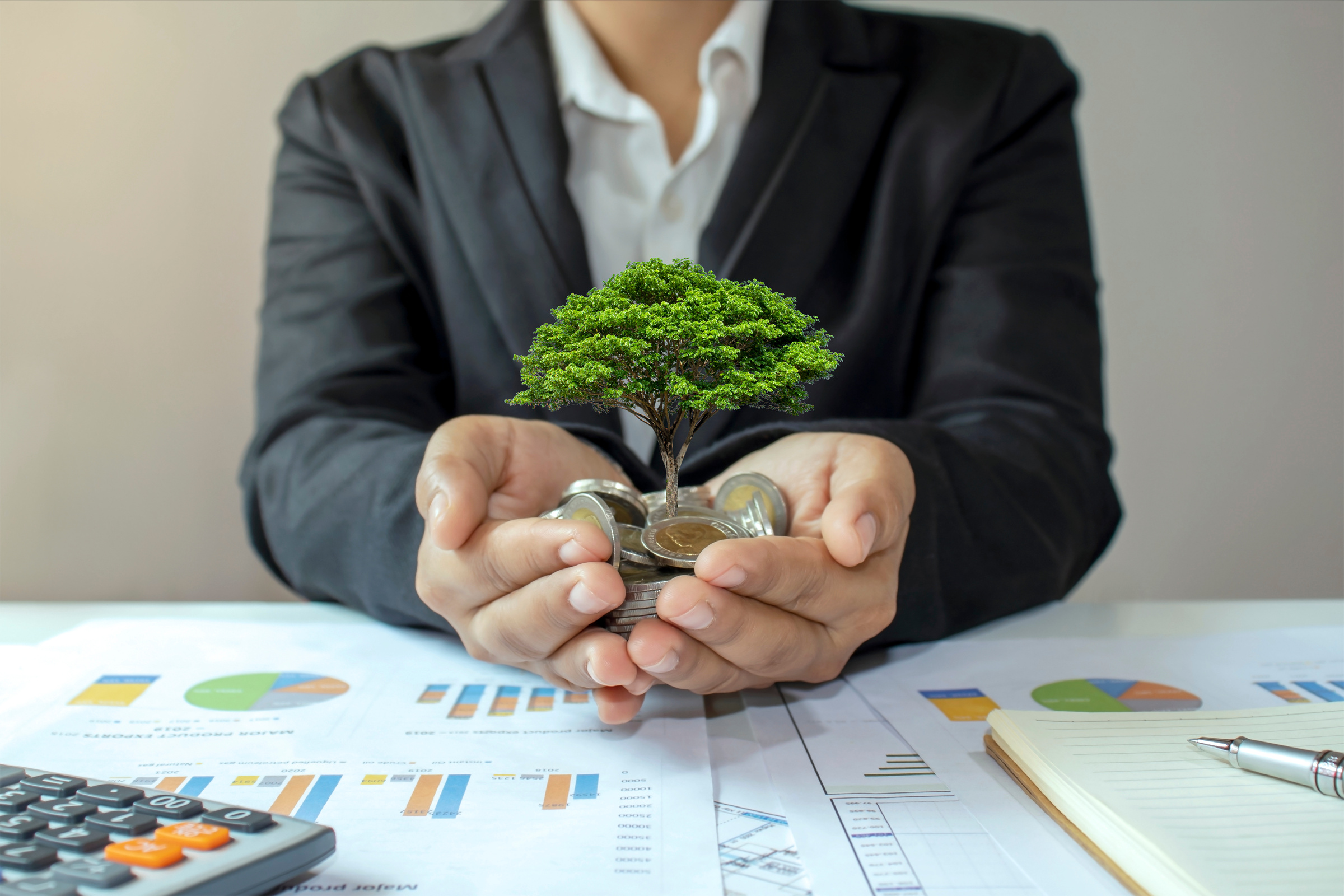 Little Tree Grows on Coin in the Hands of Businessman